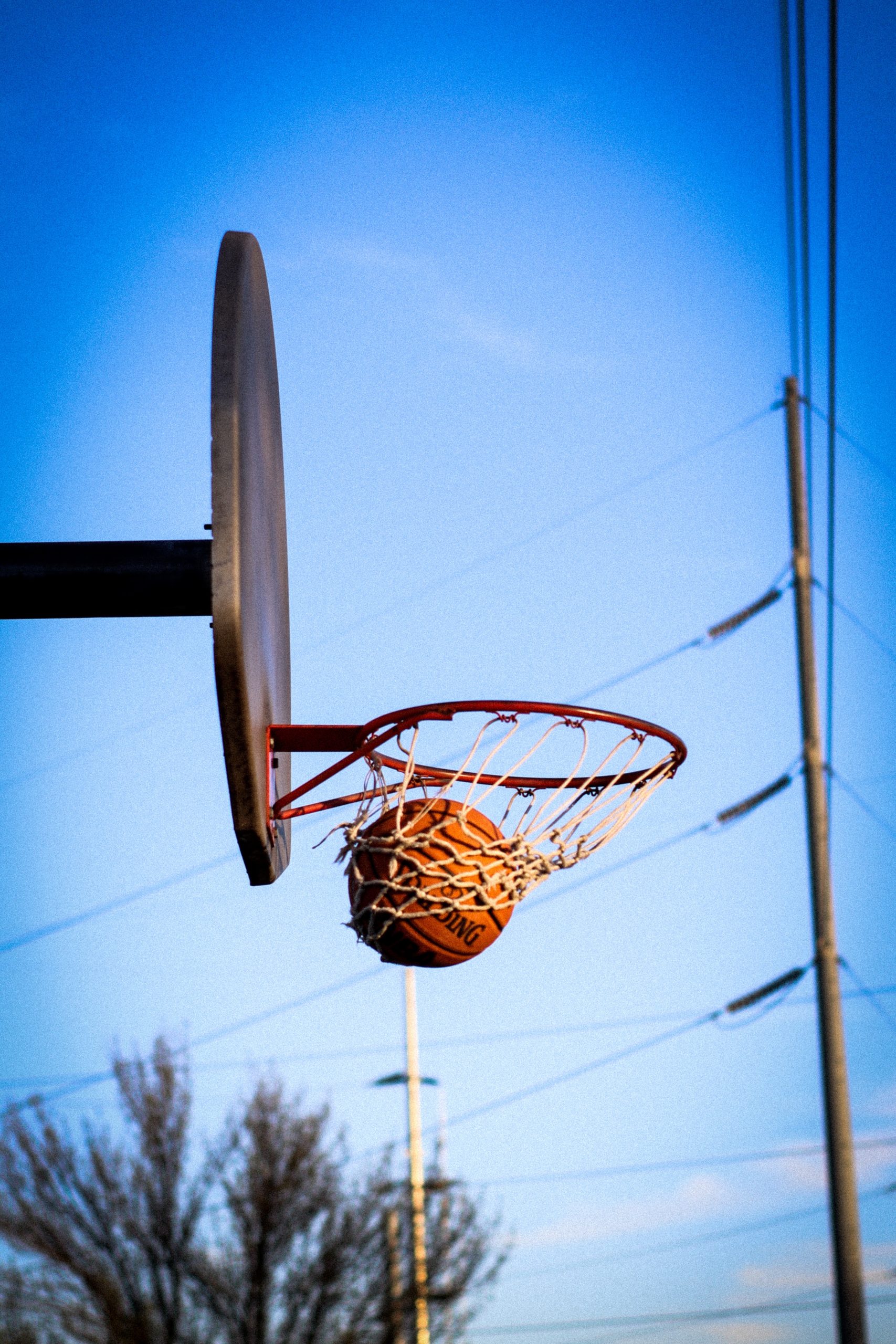 pexels-basketball_in_net-edgar-colomba-2169302